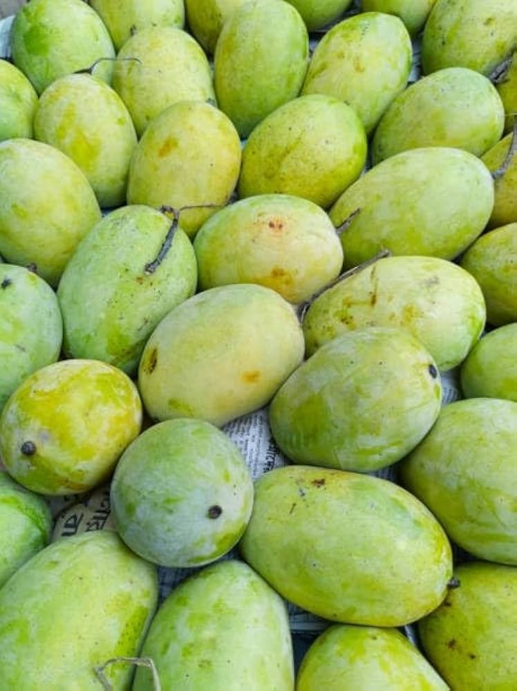 Langra Mango